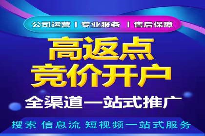 竞价排名的投放策略与效果评估案例